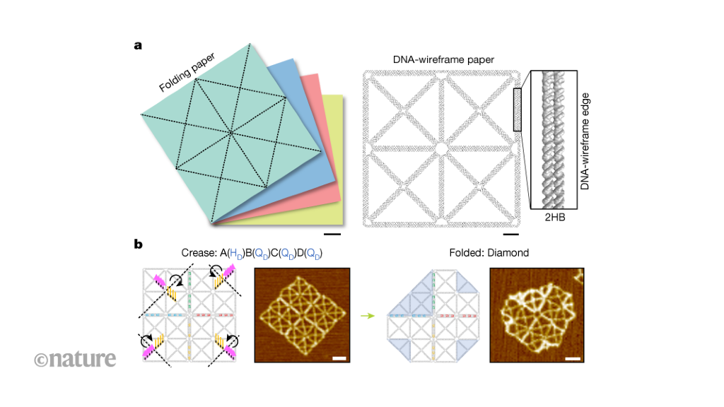 Nanoscale origami with DNA-wireframe paper