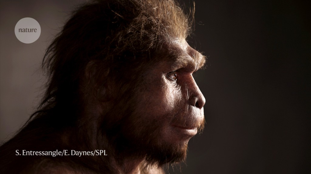 Did our human ancestors eat each other? Carved-up bone offers clues