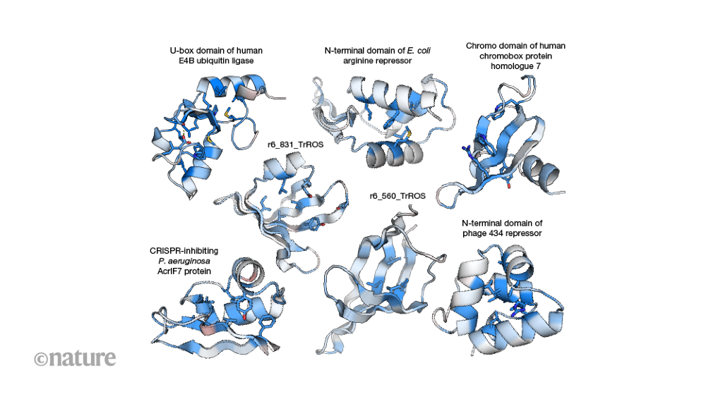 Protein folding stability measured at scale