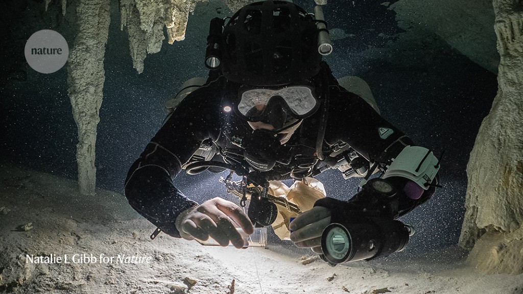Shining a light on mysterious underwater cave creatures