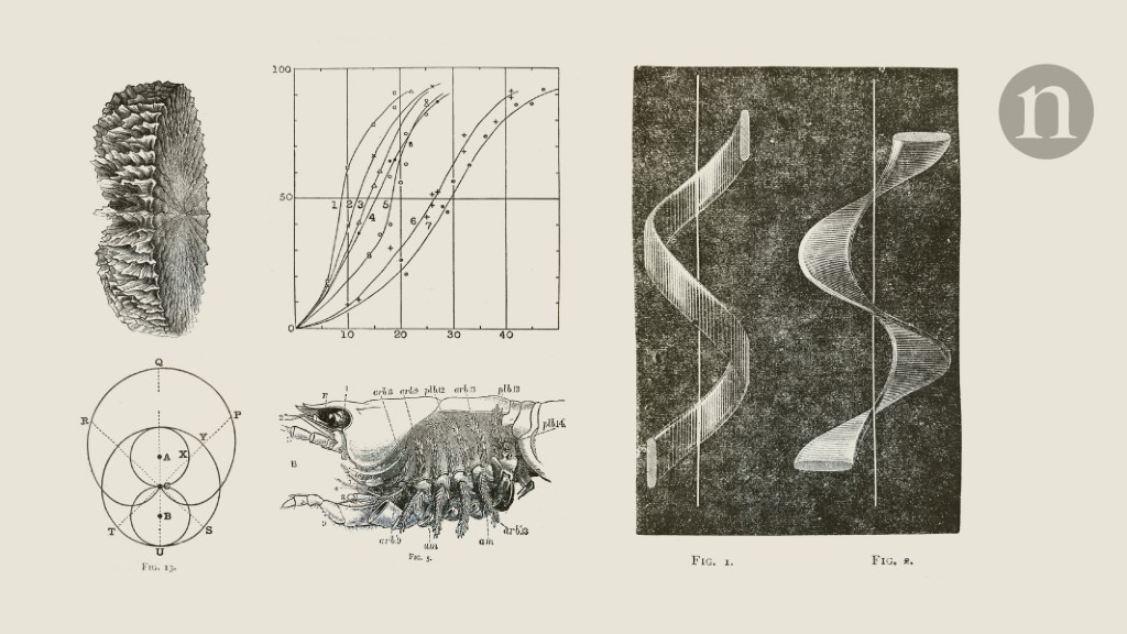 From the archive: infant mortality, and a guidebook about fossils