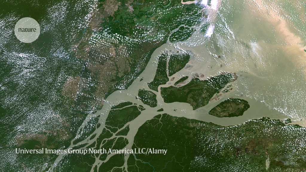 Oil from the Amazon? Proposal to drill at river’s mouth worries researchers