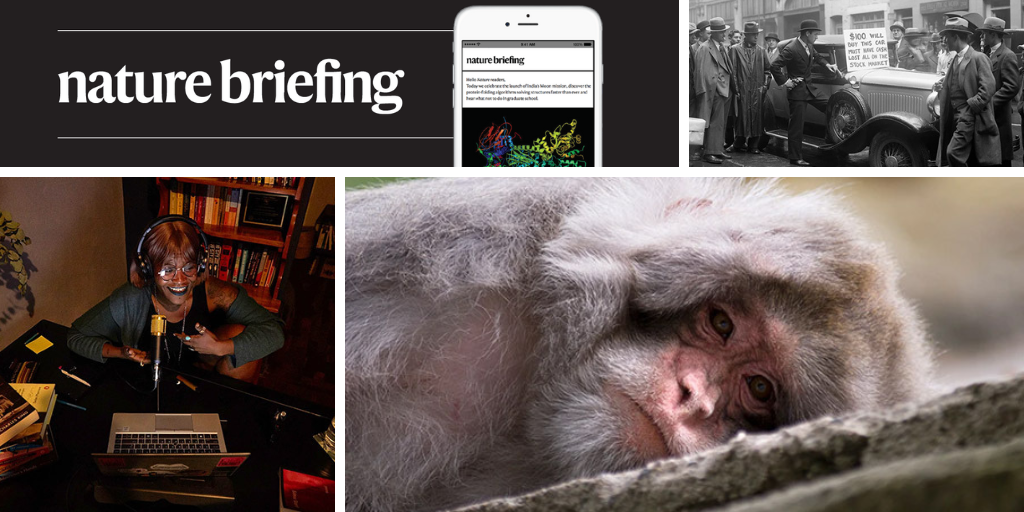 Daily briefing: Longevity protein boosts ageing monkeys’ memories