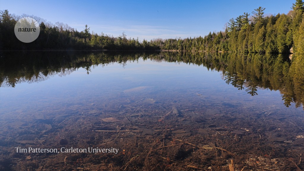 This quiet lake could mark the start of a new Anthropocene epoch