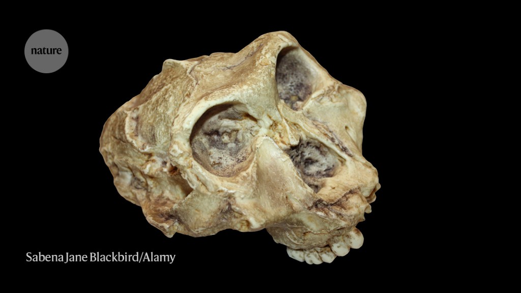 Oldest genetic data from a human relative found in 2-million-year-old teeth