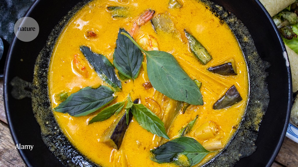 Curry has tempted diners in southeast Asia for more than 1,500 years