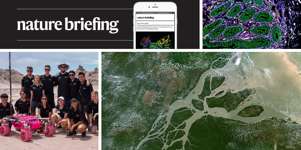 Daily briefing: Organs mapped in cell ‘atlases’