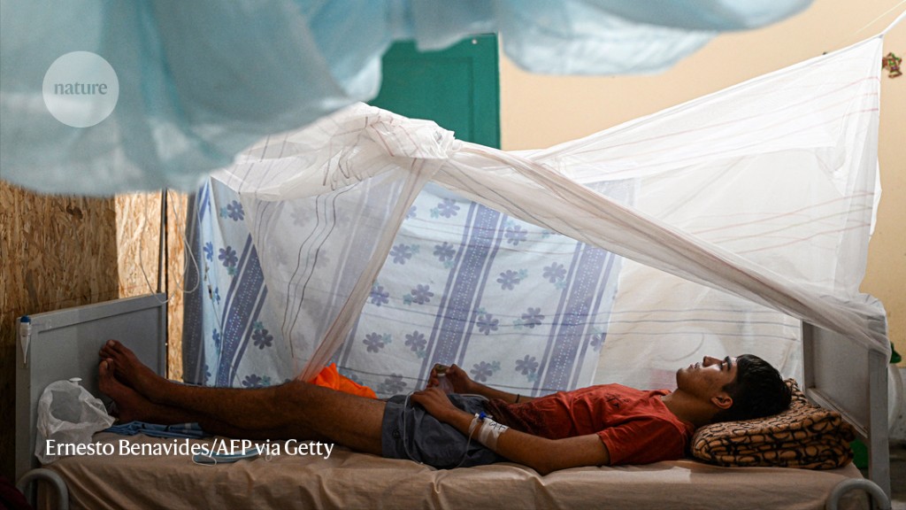 Dengue is breaking records in the Americas — what’s behind the surge?