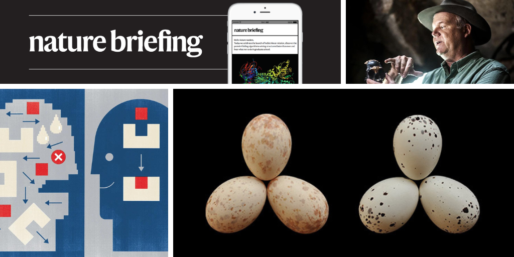 Daily briefing: A new Turing test for artificial intelligence