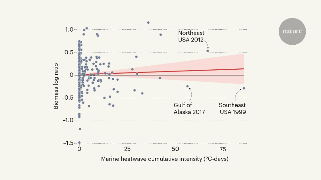 Rethinking the effect of marine heatwaves on fish