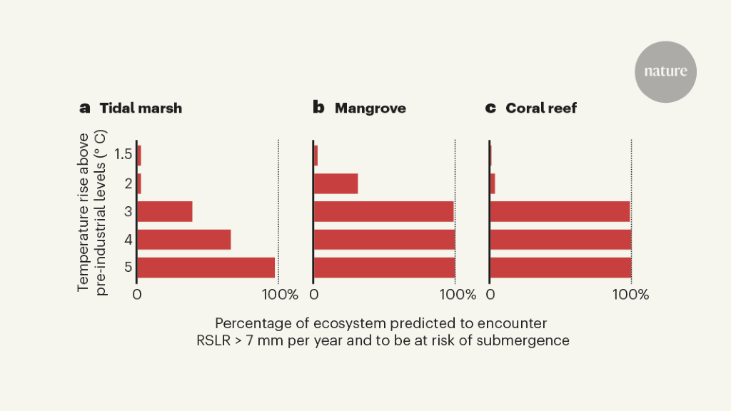 A drowned future for coastal ecosystems