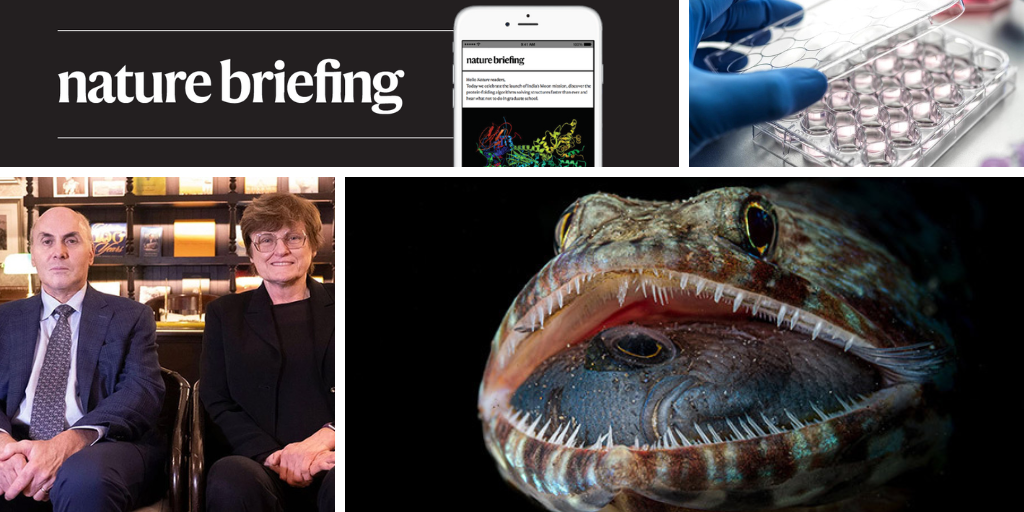 Daily Briefing: Medicine Nobel Prize For MRNA Research