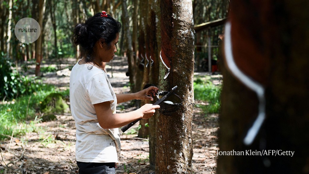 Making the production of rubber better for the planet, Magazine Articles