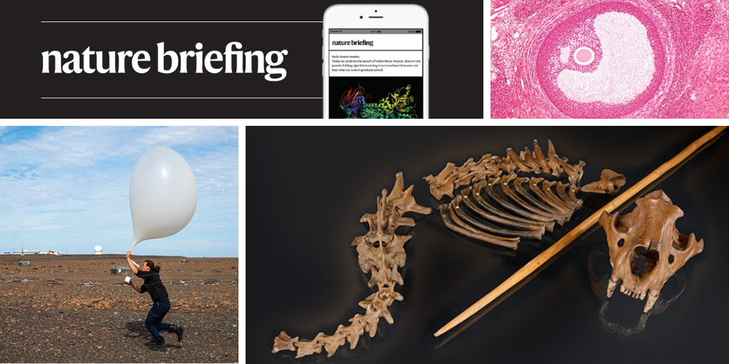 Daily briefing: COVID drug helps to bring back sense of smell