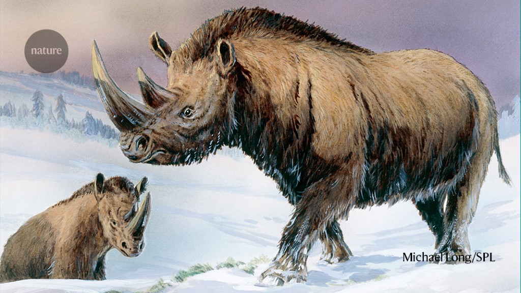 Woolly-rhino genome emerges from cave hyena’s fossilized poo