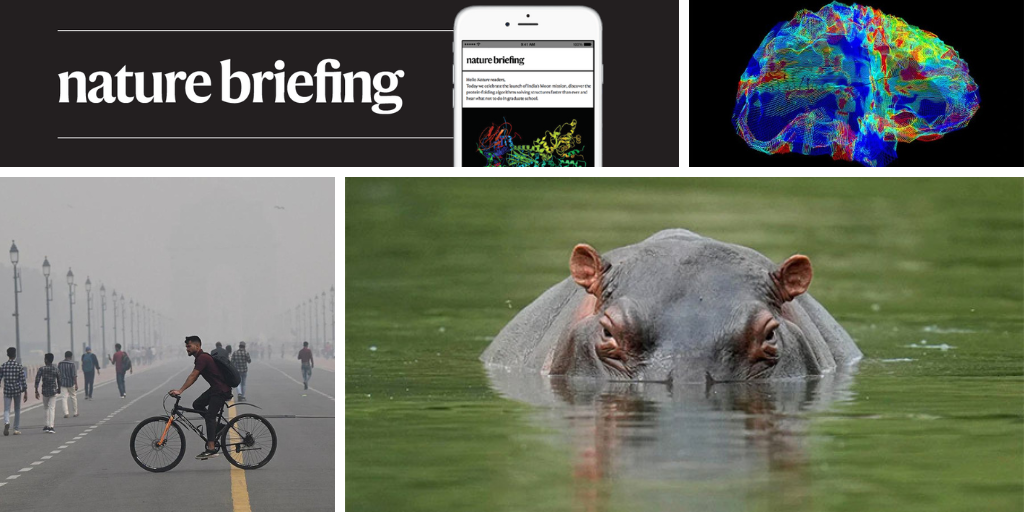 Daily briefing: How Colombia plans to tackle its invasive hippo