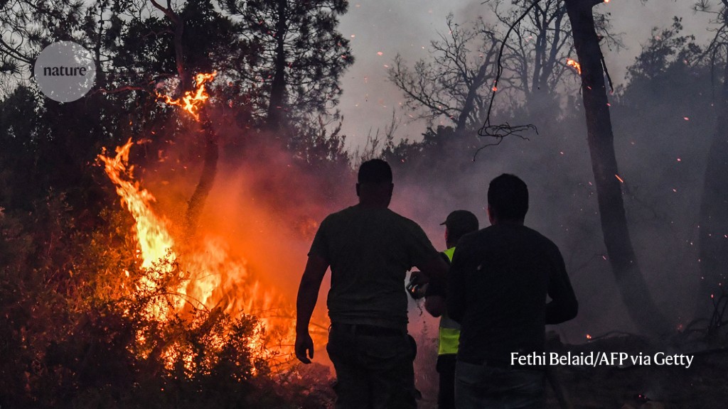 Climate lossanddamage funding a mechanism to make it work