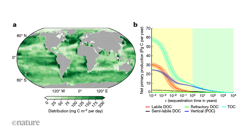 Oceans can seize extra carbon dioxide than in the past concept