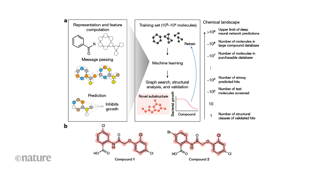 ‘Explainable’ AI Identifies A New Class Of Antibiotics