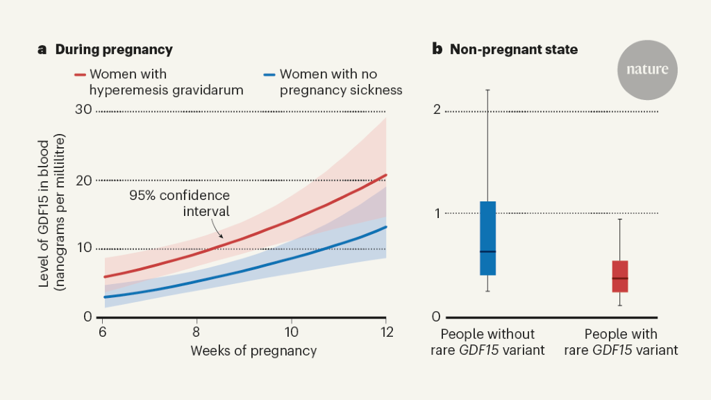 nausea-and-vomiting-in-pregnancy-linked-to-hormone-from-fetus-tittlepress