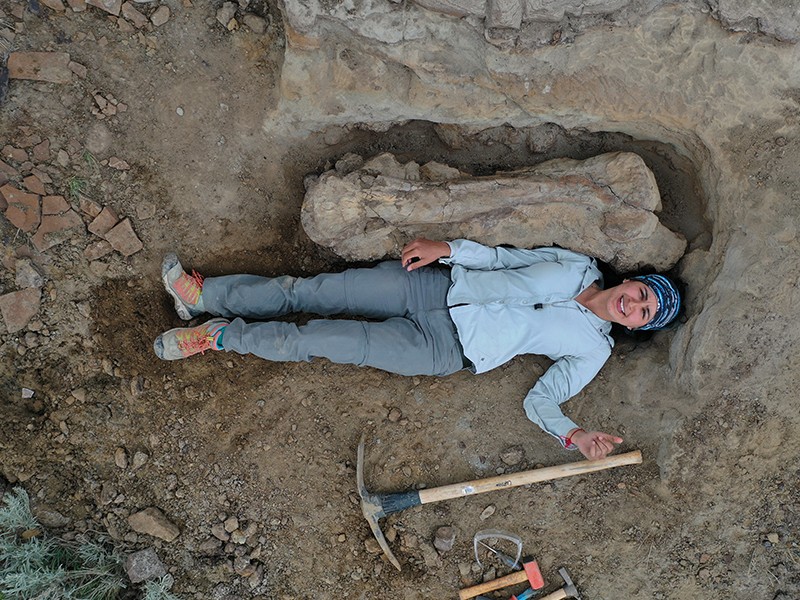 From a pocketful of rocks to scientific director of palaeontological research - Vimarsana News