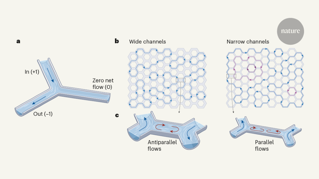Actieve vloeistoffen navigeren door netwerken door sudoku-achtige problemen op te lossen