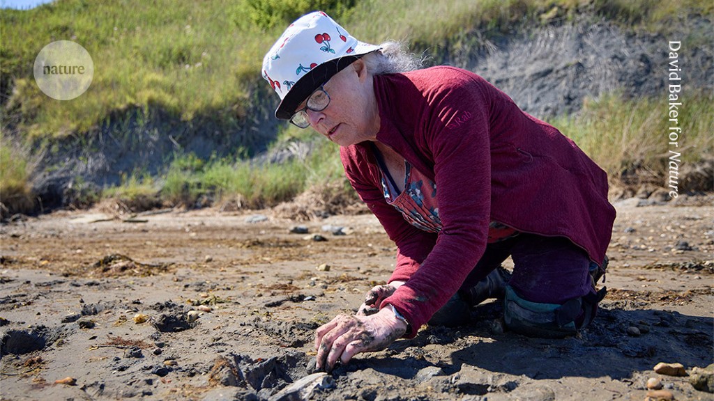 I started fossil hunting in my 60s — now I have more than 2,000 pieces