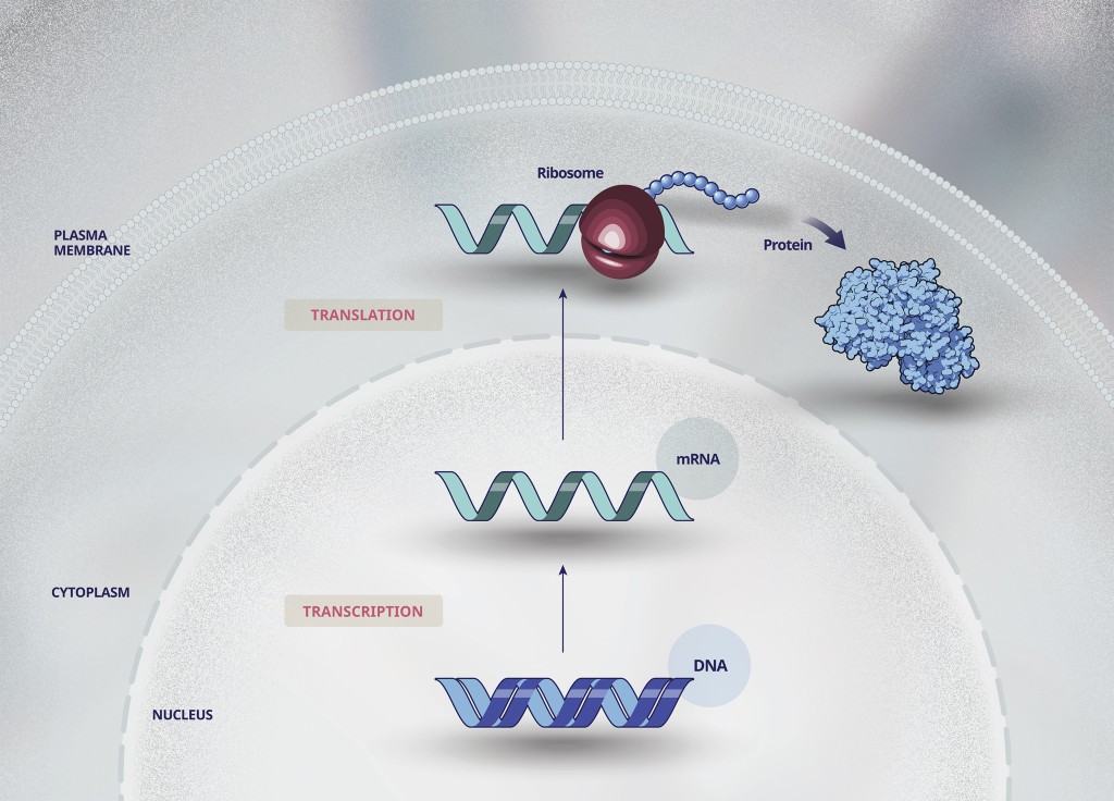 From discovery through delivery: Patient-focused development of gene  therapies for rare diseases