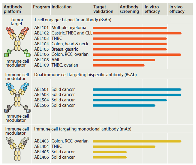 Bispecific Antibodies And Novel Immune Cell Targets For Immuno Oncology 3224