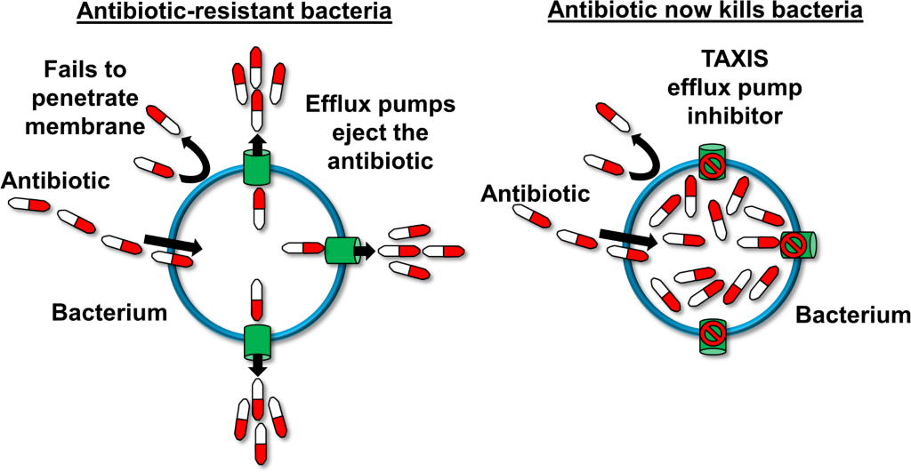 Tackling Resistance In Multidrug-resistant Bacterial Infections