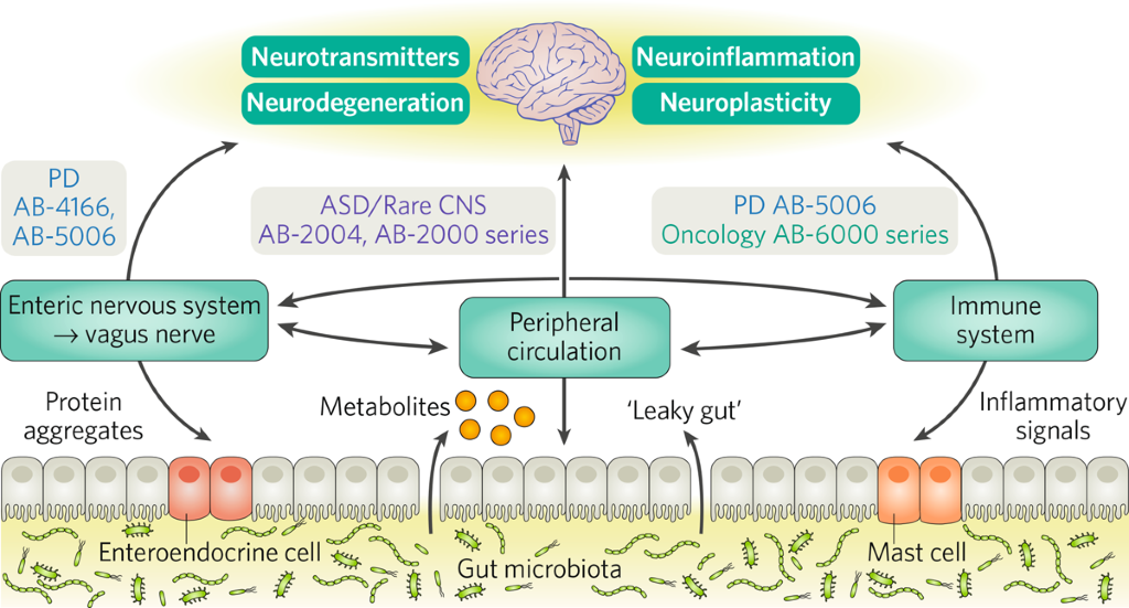 Harnessing the gut–brain axis to develop CNS therapeutics