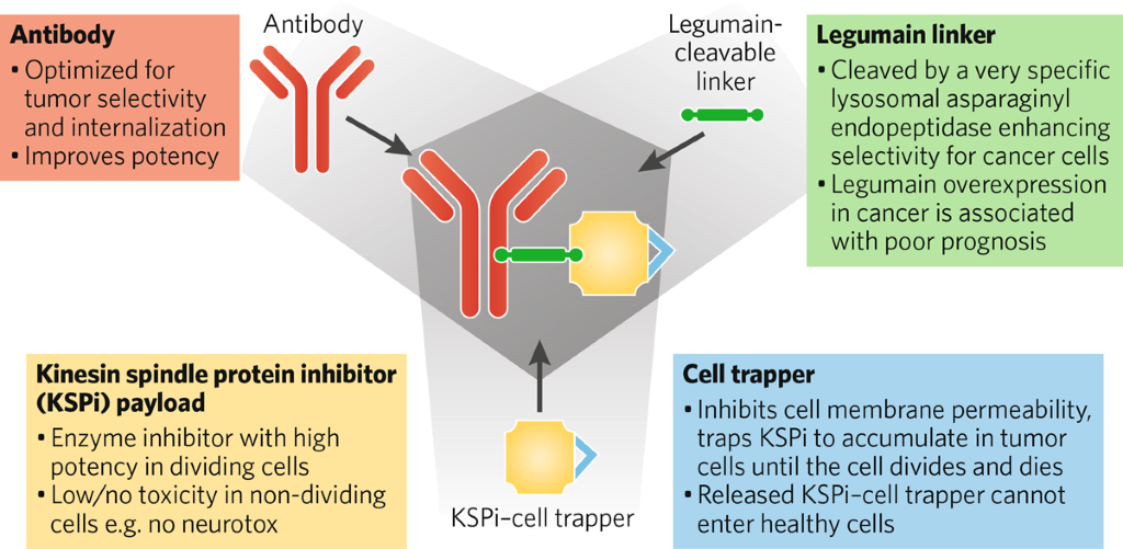 Radiation Cleaved Drug-Conjugate Linkers Enable Local, 46% OFF