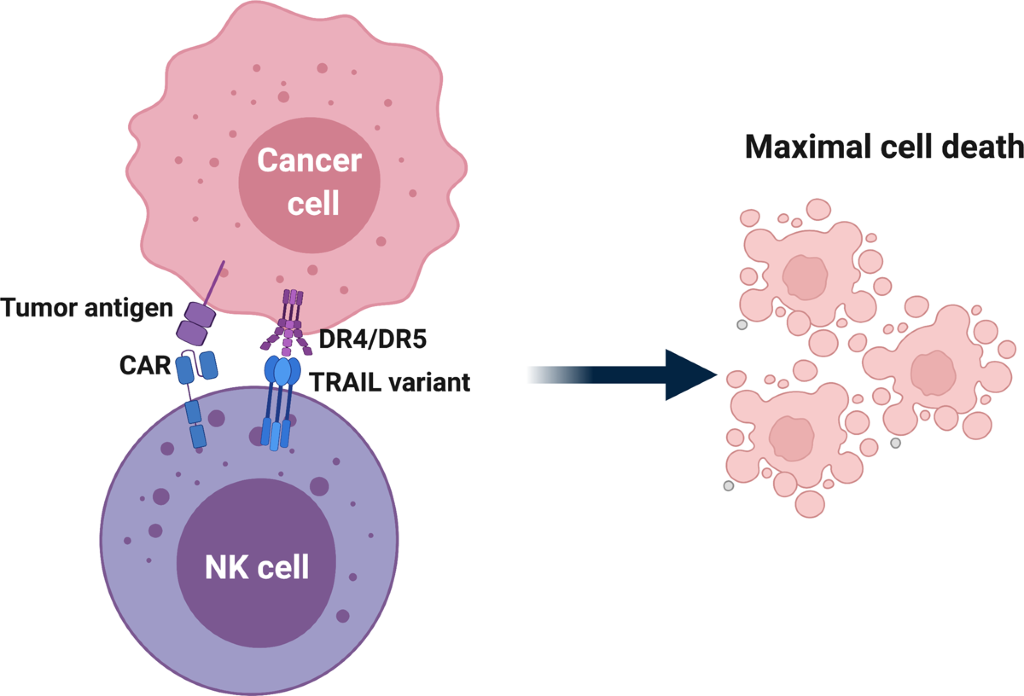 Maximizing synergy and mitigating resistance: novel dual-targeted ...