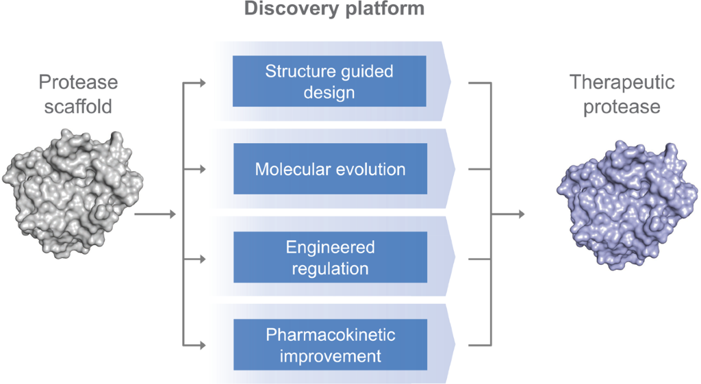 Catalyst: A Biopharmaceutical Company Focused on Rare Diseases