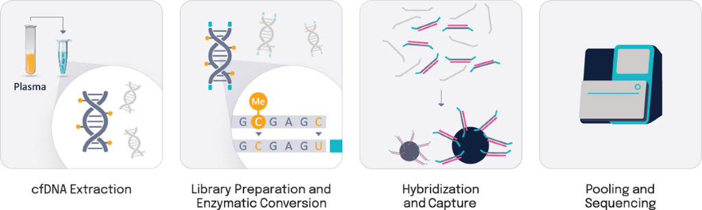 Identifying Epigenetic Modifications Leads To Earlier Cancer Detection