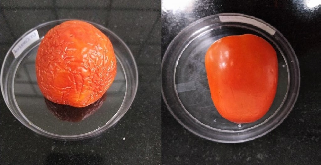 Edible coating solution increases shelf-life of fruits and vegetables