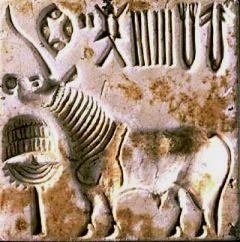 Indus valley script is linguistic