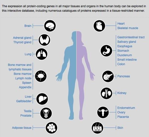 Draft of human proteome maps: Significant milestones from India