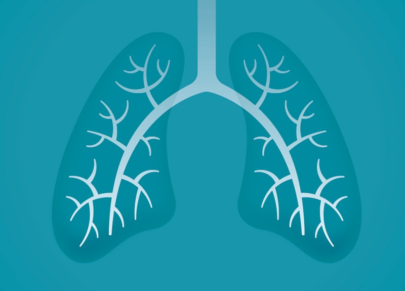 Targeted PI3K inhibitors reduce lung fibrosis in mice