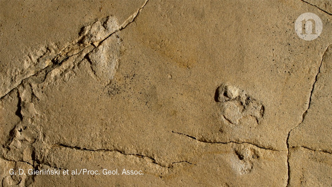 Footprints on Greek island are 5.7 million years old