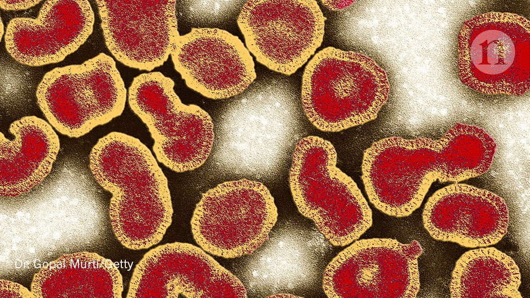 Flu virus finally sequenced in its native form