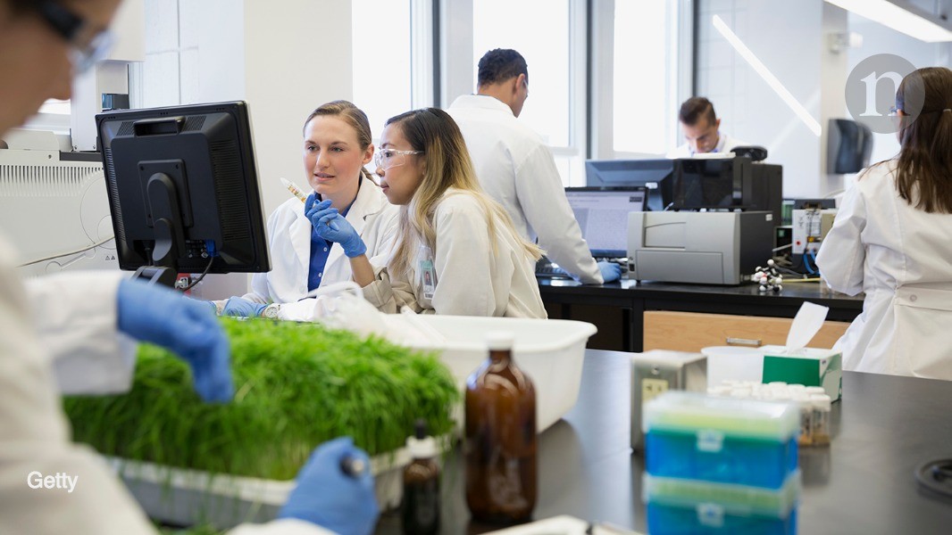 Undergraduate students can be a boon to your lab