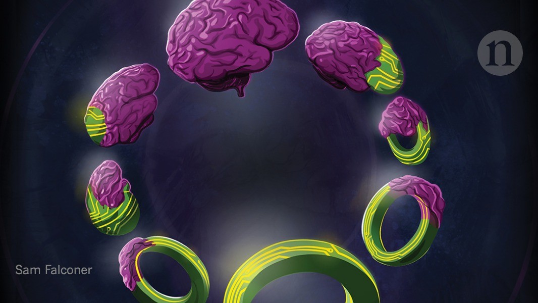 How AI and neuroscience drive each other forwards