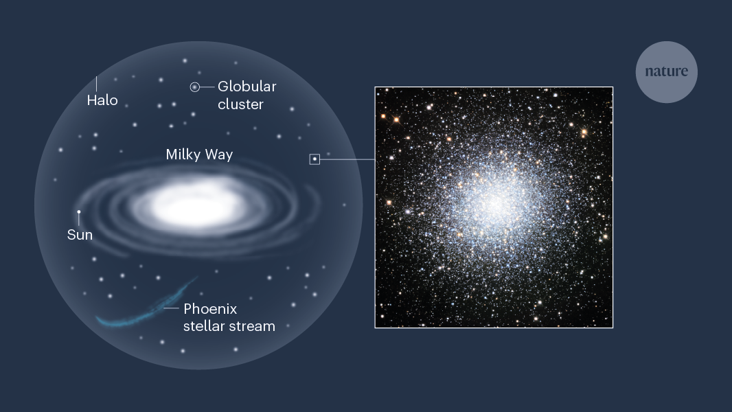 The Phoenix stellar stream rose from the ashes of an ancient star ...