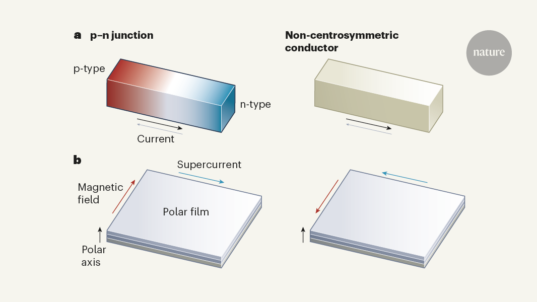 One-way supercurrent achieved in an electrically polar film | Nature