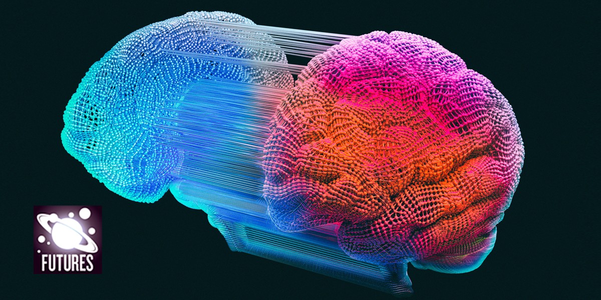 Bridge Brain Structure Brain Bridging | Nature