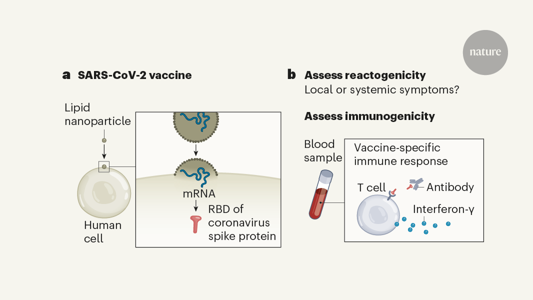 All eyes on a hurdle race for a SARS-CoV-2 vaccine