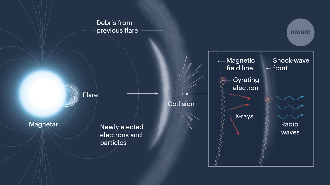 A fast radio burst in our own Galaxy