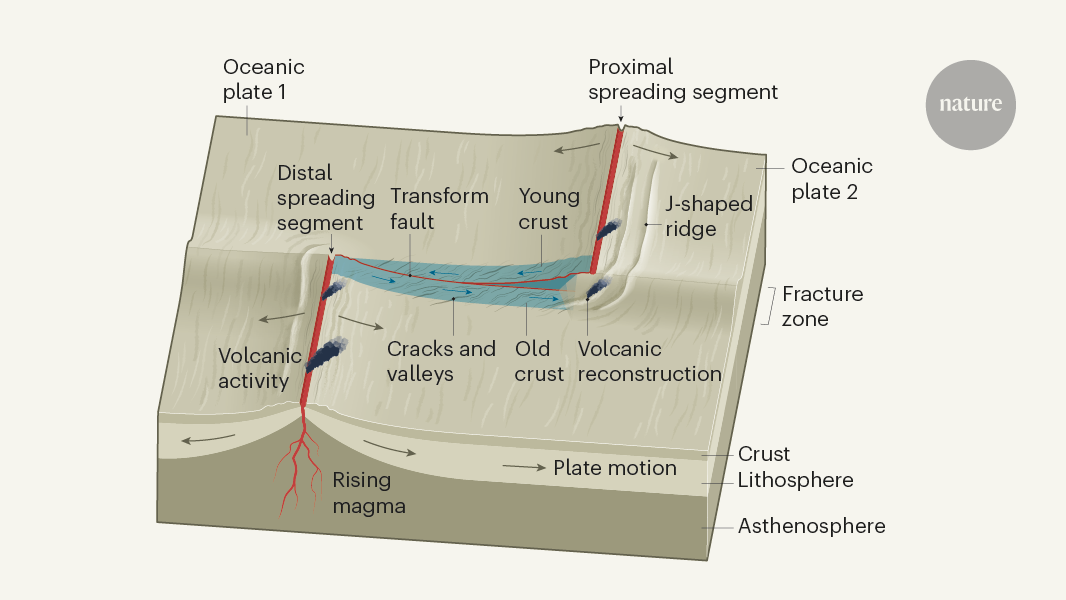 Oceanic fault zones reconstructed