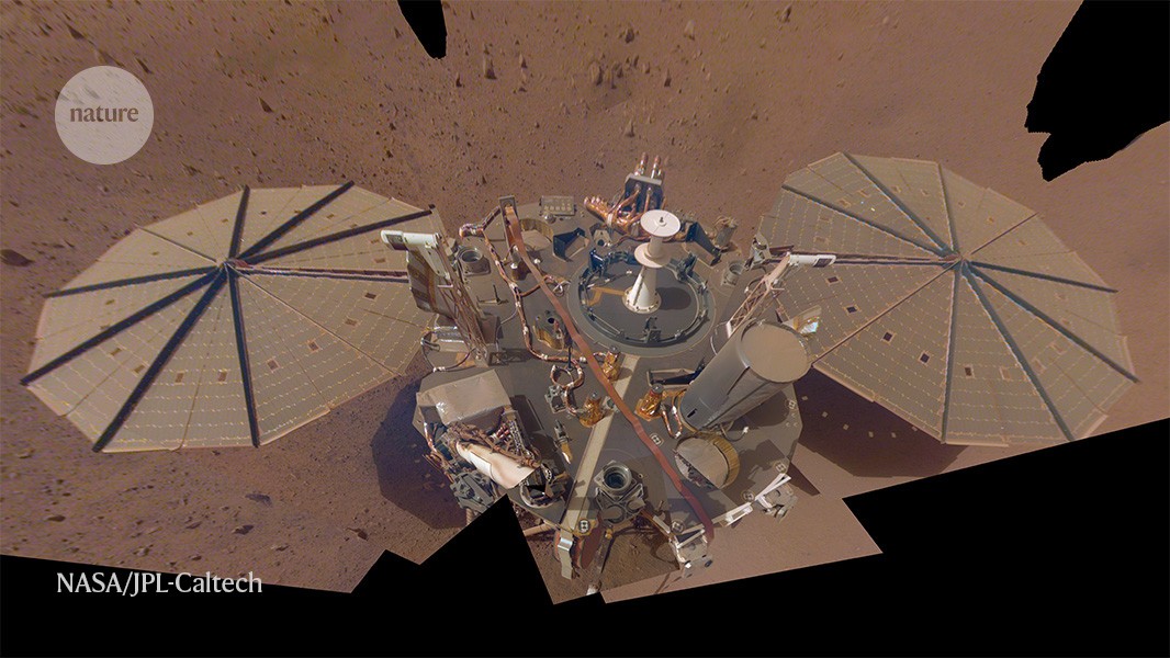 d41586-021-00696-7_18975672.jpg d41586-021-00696-7_18975672.jpg